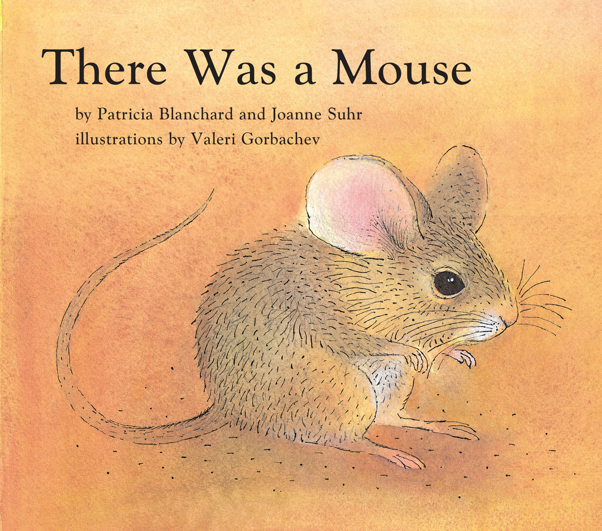 【洋書・美品】What's Wrong with my Mouse? There Was a Mouse – Richard C. Owen Publishers, Inc.